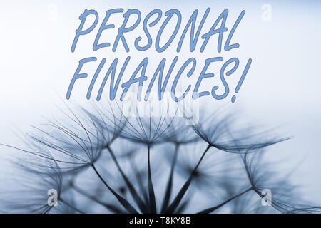 Handwriting text writing Personal Finances. Conceptual photo the activity of analysisaging own money and financial decisions Stock Photo