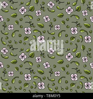 Seamless pattern with caper: caper bud, pod and flower. Vector hand drawn illustration. Stock Vector