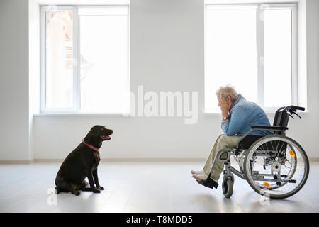 Depressed senior woman in wheelchair and her dog indoors Stock Photo