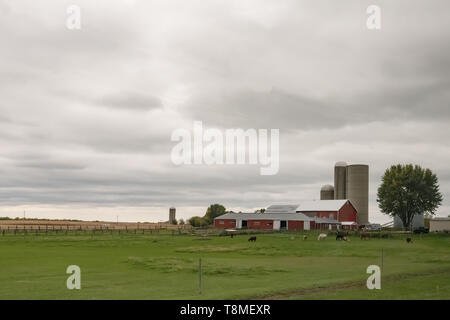 Agricultural background of a dairy farm in Wisconsin Stock Photo