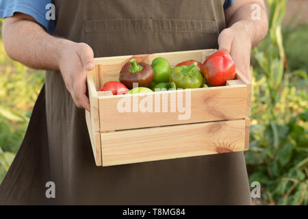 Man holding wooden crate with vegetables outdoors, closeup Stock Photo