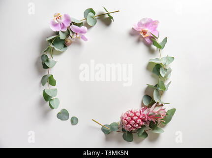 Frame made of eucalyptus branches and flowers on white background Stock Photo