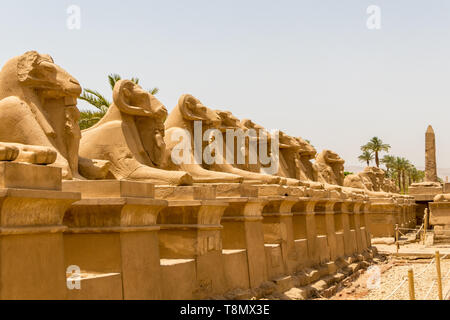 Statues in the Alley of the Ram Headed Sphinxes at the Temple of Karnak in Luxor, Egypt Stock Photo