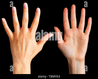 Set of woman hands showing five fingers and palm Stock Photo
