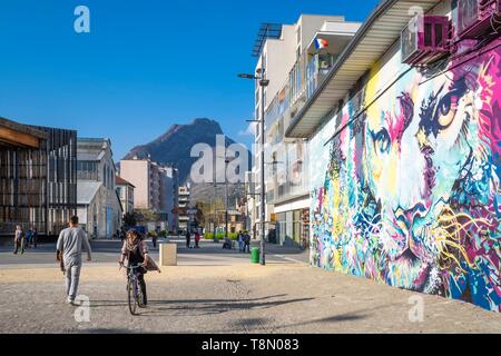 France, Isere, Grenoble, Bouchayer-Viallet district, Esplanade Andry Farcy, the Lion of the Grenoble artists, Srek, Greg and Will, fresco created during the Grenoble Street-Art Fest 2015 Stock Photo