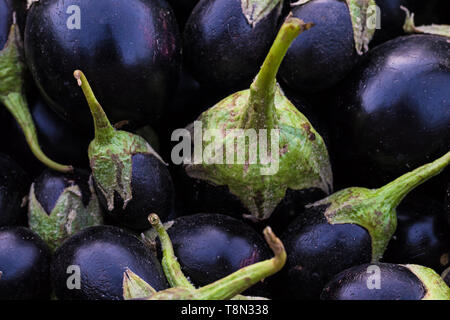 Wallpaper In Eggplant Or Purple Color Tone Stock Photo - Alamy