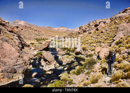 Hiking along the Rio Blanco thermal river near El Tatio Geyser, San Pedro de Atacama, Chile Stock Photo