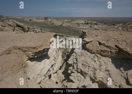 View of the deep canyon, Qubuluq Ustyurt, from the Ustyurt Plateau a transboundary clay desert which drops steeply to the Aral Sea and the surrounding plain which was once the 4th largest in the world now a salty, poisoned wasteland called the Aralkum Desert. Republic of Karakalpakstan, Uzbekistan Stock Photo