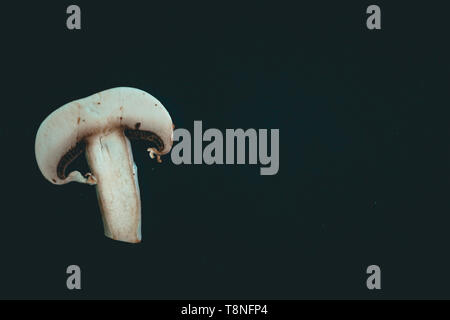 Champignon mushroom isolated on black background Stock Photo