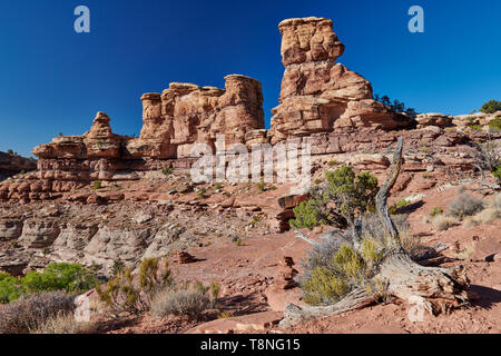 landscape of Canyonlands-National Park at Needles District, Utah, USA, North America Stock Photo