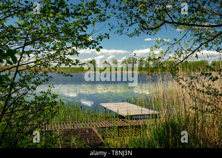 Raised walkway leading across wetlands to a wooden rustic jetty amongst reeds on the shoreline of a tranquil country lake in a scenic nature backgroun Stock Photo