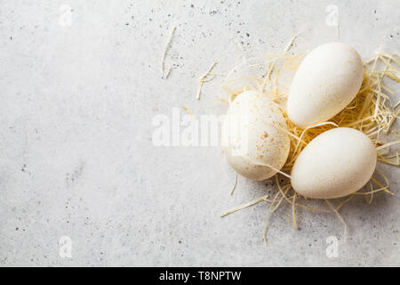 Turkey eggs on hay on a gray background. Stock Photo