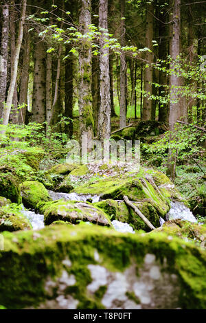 Waterfall of St. Wolfgang in Czech Republic, Bohemia, Vyssi Brod and Lipno Region Stock Photo