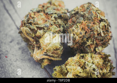 Legal cannabis flowers photographed in detail with a macro lens Stock Photo