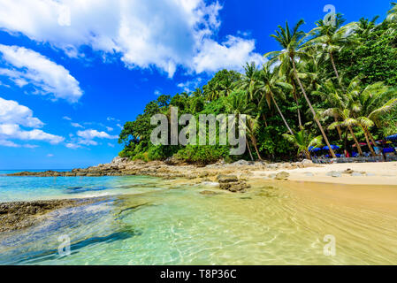 Surin beach, Paradise beach with golden sand, crystal water and palm trees, Patong area on Phuket Island, Tropical travel destination, Thailand Stock Photo