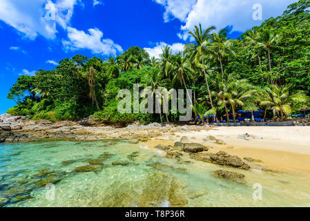Surin beach, Paradise beach with golden sand, crystal water and palm trees, Patong area on Phuket Island, Tropical travel destination, Thailand Stock Photo