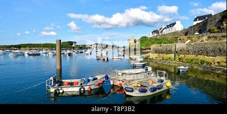 France, Finistere, Iroise see, Armorique Regional natural park, Le Conquet, the harbour Stock Photo