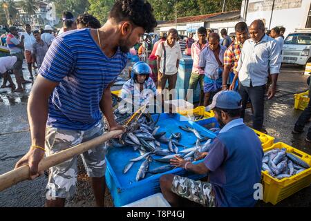 Sri Lanka, Southern province, Tangalle, the fishing harbour, fish market Stock Photo