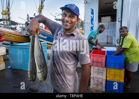 Sri Lanka, Southern province, Tangalle, the fishing harbour, fish market Stock Photo