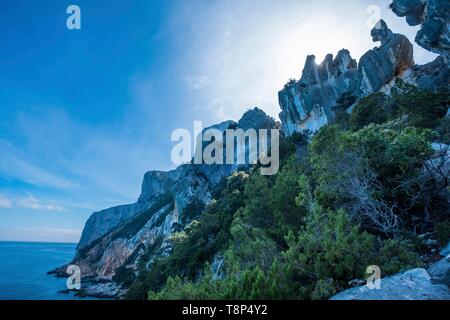 Italy, Sardinia, Baunei, Orosei Gulf, trek towards Cala Goloridze Stock Photo