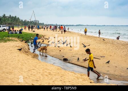 Sri Lanka, Western province, Negombo, Negombo beach Stock Photo