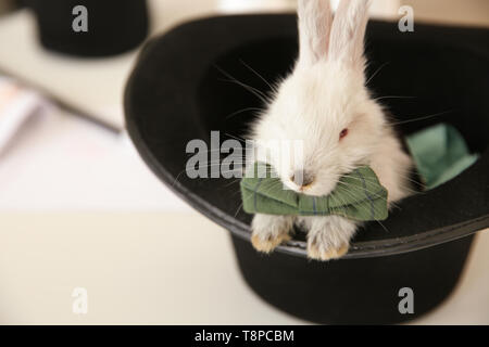 Magician hat with cute fluffy rabbit on table Stock Photo