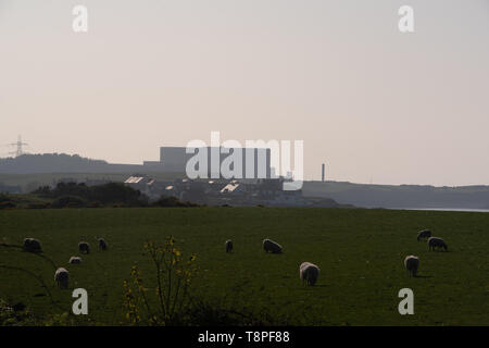 Wyfla nuclear power station, Cemaes Bay, Anglesey at dusk Stock Photo