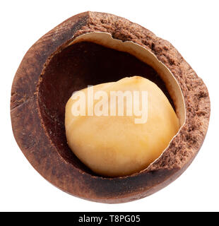 macadam nut isolated on a white background. Stock Photo