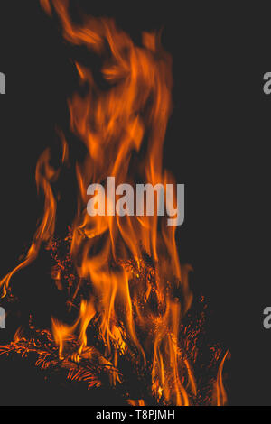 dark background bonfire from branches in the fireplace . flame and sparks. Stock Photo