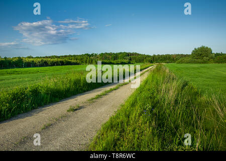 Gravel road through green fields, forest and cloud on blue sky - view in sunny day Stock Photo