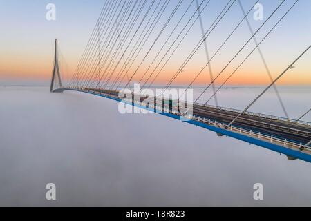 France, between Calvados and Seine Maritime, the Pont de Normandie (Normandy Bridge) emerges from the morning mist of autumn and spans the Seine to connect the towns of Honfleur and Le Havre Stock Photo
