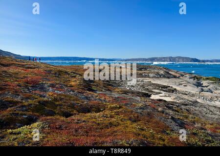 Greenland, West Coast, Disko Bay, hikers on an island in the bay of Quervain Stock Photo