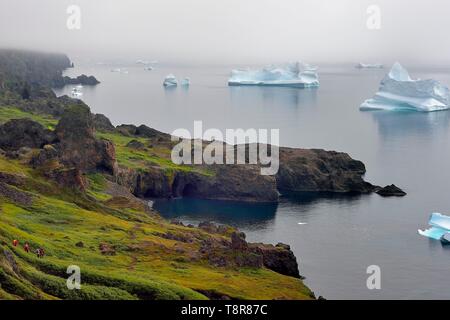 Greenland, West Coast, Disko Island, Qeqertarsuaq, hikers on the coast and icebergs in the mist in the background Stock Photo