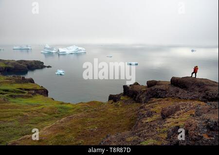 Greenland, West Coast, Disko Island, Qeqertarsuaq, hiker on the coast and icebergs in the mist in the background Stock Photo