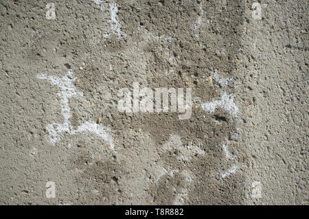 Monochromatic Texture of Old Weathered Concrete Wall with Cracks and Water Stains Stock Photo