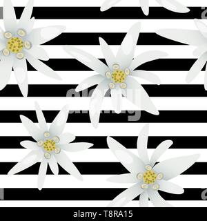 Striped seamless pattern with edelweiss flowers. Snow beauty. Vector illustration. Alpine star. swiss symbol. Stock Vector