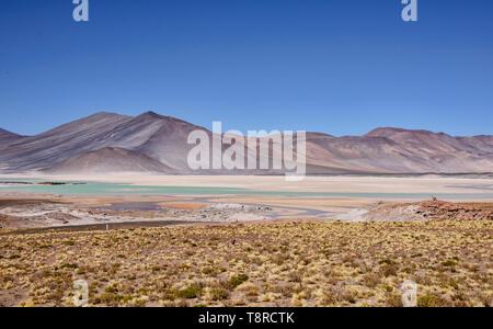 Surreal landscape at the Salar Aguas Calientes, Atacama Desert, Chile Stock Photo