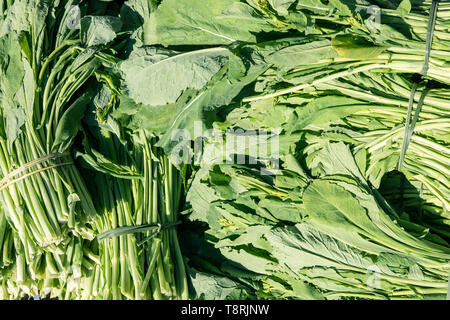 Fresh turnip greens at farmers market. Food Background Stock Photo