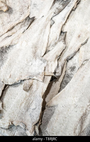 Dried salted cod at farmers market. Santiago de Compostela, Spain Stock Photo