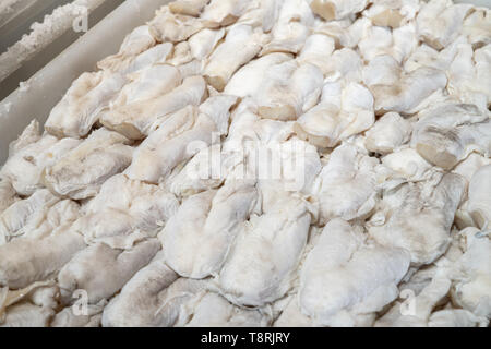 Dried salted cod cocochascodfish at farmers market. Santiago de Compostela, Spain Stock Photo