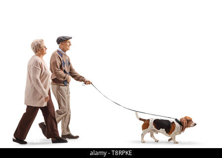 Full length profile shot of a senior couple walking a basset hound dog isolated on white background Stock Photo
