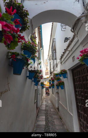 Tourists in Calleja de las Flores,  is one of the most popular tourist streets of , Great Mosque of Córdoba in the background. Andalusia, Spain Stock Photo