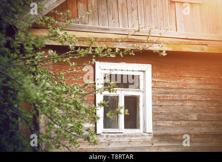 Old wooden dilapidated village house with a white frame on the window, in the spring sunny garden which grows an Apple tree Stock Photo