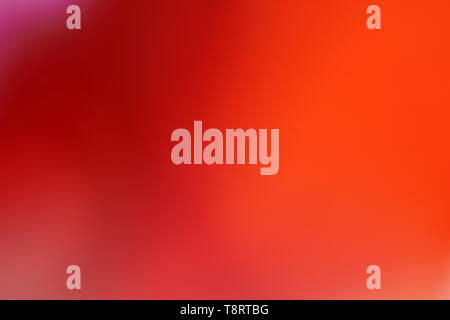 Beautiful fusion of bright colors and light leak Stock Photo