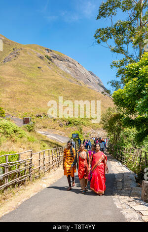 Vertical view of a group of people dressed in sarees walking along a trail in Eravikulam National Park in Munnar, India. Stock Photo