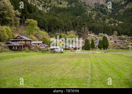 Green rice field before planting in small historic Japanese village Stock Photo