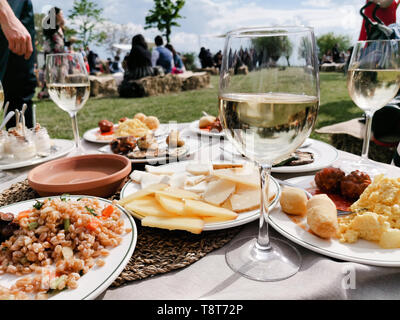 aperitif with white wine on a meadown in the countryside, cold cutt and cheeses Stock Photo