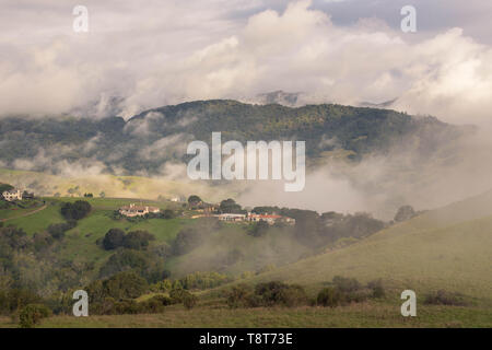 Early morning fog and mist burns off over large houses nestled in green rolling hills Stock Photo