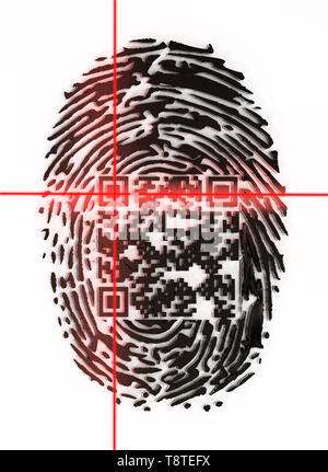 Generic QR code inside fingerprint being scanned. 3D illustration. Stock Photo