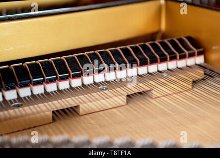 Inside of the Grand Piano. Hammers and strings. Stock Photo
